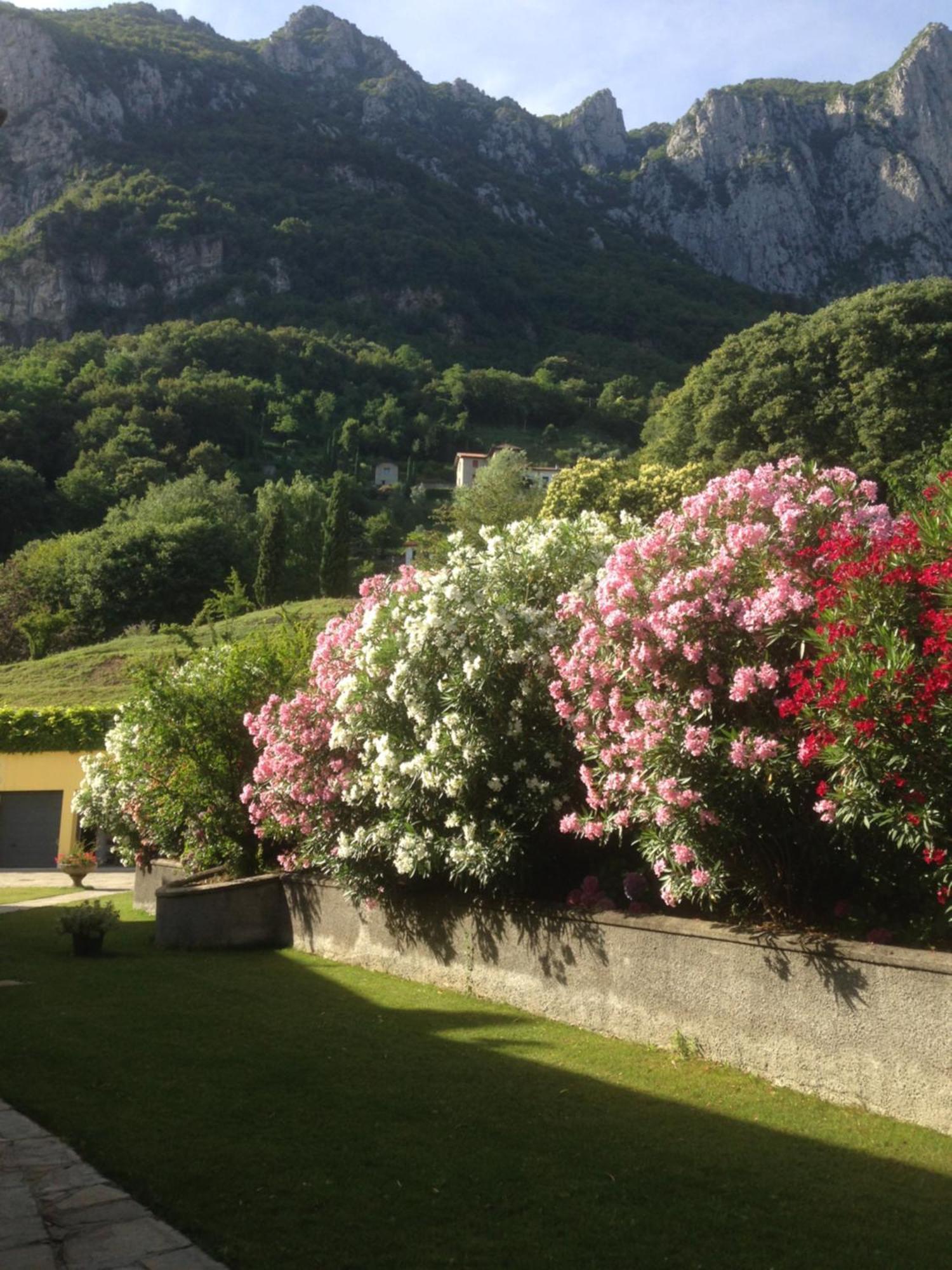 Montebello Lake Lecco Exterior foto